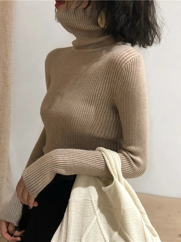 AINHOA - JERSEY DE CUELLO ALTO
