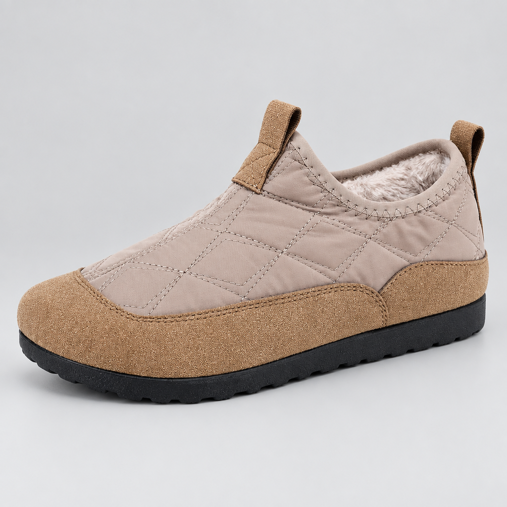 Zapato marrón sobre fondo gris